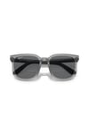 Ray-Ban 0RB 4401D 659981 57
