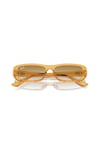 Ray-Ban 0RB 4436D 668213 55