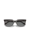 Ray-Ban 0RB 4439D 667587 54