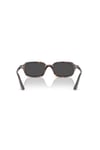 Ray-Ban 0RB 4455 135987 49 Unisex Güneş Gözlüğü