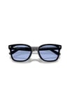 RAY-BAN 0RB 4461D 601/80 64