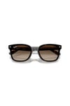 RAY-BAN 0RB 4461D 710/13 64