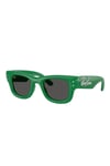 Ray-Ban 0RB 4940B 685987 47 Unisex Güneş Gözlüğü