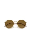 Ray-Ban 0RB R0103S 001/83 55