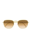 Ray-Ban Frank RB3857 919651 2N Unisex Güneş Gözlüğü