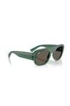 RAY-BAN GUNES 0RB 2218 6681/3 55 ERKEK