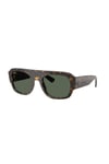RAY-BAN GUNES 0RB 2218 679071 55