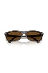 RAY-BAN GUNES 0RB 2224 710/57 57