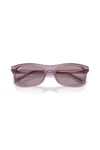 RAY-BAN GUNES 0RB 2226 684753 54