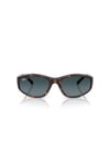 RAY-BAN GUNES 0RB 2228 710/S3 59