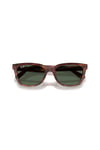 RAY-BAN GUNES 0RB 2243D 954/71 55