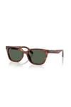 RAY-BAN GUNES 0RB 2243D 954/71 55