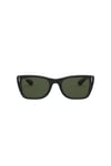 Ray-Ban Güneş 0RB 2248 901/31 52 Kadın