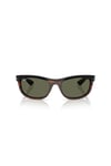 RAY-BAN GUNES 0RB 2489 144058 62