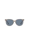 Ray-Ban Güneş 0RB 4378 65722V 54 Kadın