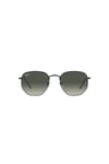 Ray-Ban Güneş 0RB3548 002/71 51