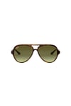 Ray-Ban Güneş 0RB4125 710/A6 59