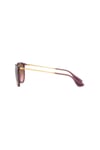Ray-Ban Güneş 0RB4171 659114 54