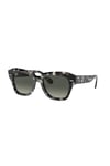 Ray-Ban Güneş RB 2186 133371 49