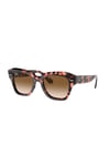 Ray-Ban Güneş RB 2186 133451 49