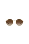 Ray-Ban Güneş RB 3681 001-13 50