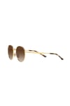 Ray-Ban Güneş RB 3681 001-13 50
