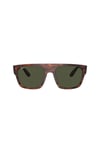 RAYBAN GUNES 0RB0360S 954/31 57