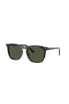 RAYBAN GUNES 0RB2210 902/31 53