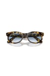 RAYBAN GUNES 0RB2242 13323F 50