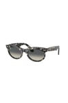 RAYBAN GUNES 0RB2242 133371 53