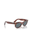RAYBAN GUNES 0RB2242 954/3R 50