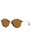 RAYBAN GUNES 0RB2447 1160 49 Erkek