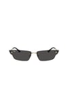 RAYBAN GUNES 0RB3731 921387 63