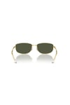 RAYBAN GUNES 0RB3732 001/31 56