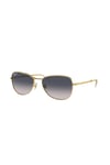 RAYBAN GUNES 0RB3733 001/78 59