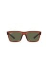 RAYBAN GUNES 0RB4396 66789A 54