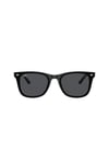 RAYBAN GUNES 0RB4420 601/87 65 Erkek