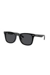 RAYBAN GUNES 0RB4420 601/87 65 Erkek