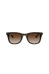 RAYBAN GUNES 0RB4420 710/13 65 Erkek