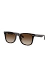 RAYBAN GUNES 0RB4420 710/13 65 Erkek