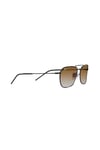 RAYBAN GUNES 0RBR0102S 002/CB58 UNISEX