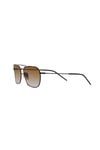 RAYBAN GUNES 0RBR0102S 002/CB58 UNISEX