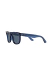 RAYBAN GUNES 0RBR0502S 67083A 50 UNISEX