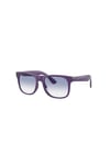 RAYBAN JUNIOR GUNES 0RJ9069S 713119 48 Erkek