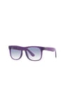 RAYBAN JUNIOR GUNES 0RJ9069S 713119 48 Erkek