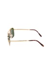 ROYSSE GUNES TS 3636 C1 57