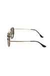 ROYSSE GUNES TS 3648 C8 54