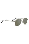 Serengeti GSG 543003 HAYWOOD Erkek Güneş Gözlüğü
