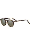 SERENGETİ GUNES RAFFAELE GSG 041002
