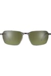 SERENGETI GUNES SHELTON GSG 547006 ERKEK